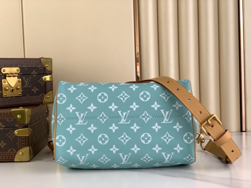 LV Speedy Bags